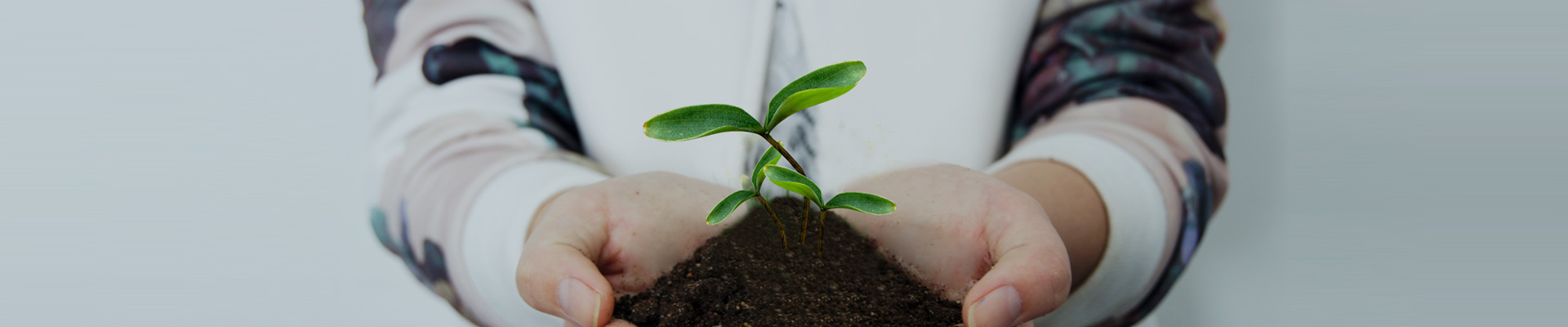 关于Z6尊龙凯时