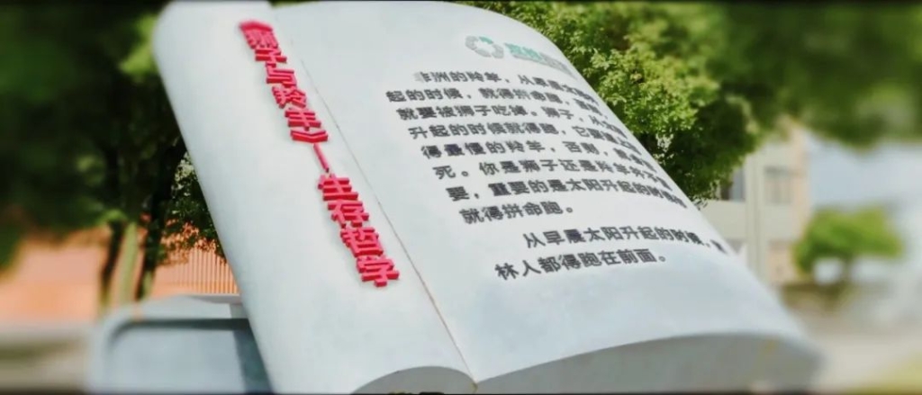 Z6·尊龙凯时(中国区)人生就是搏!